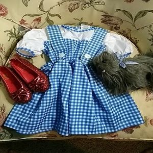 🎃 The Wizard of Oz Dorothy Child Costume